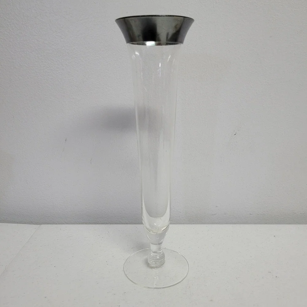 Vintage 10 Inch Clear Glass Bud Vase with Silver Rim Skinny Trumpet Decor